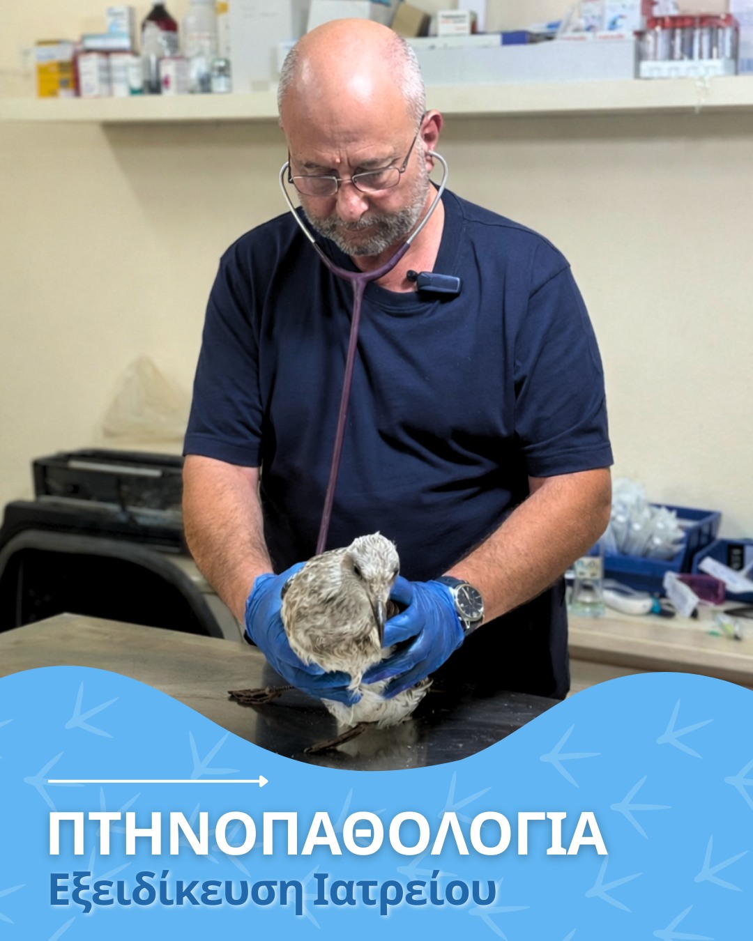Κτηνιατρική φροντίδα