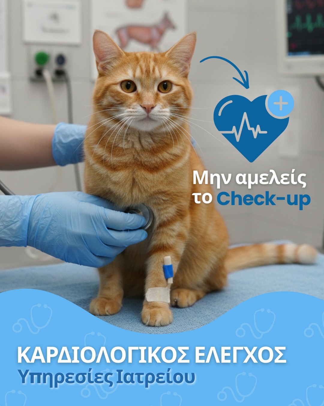 Καρδιολογικός Έλεγχος