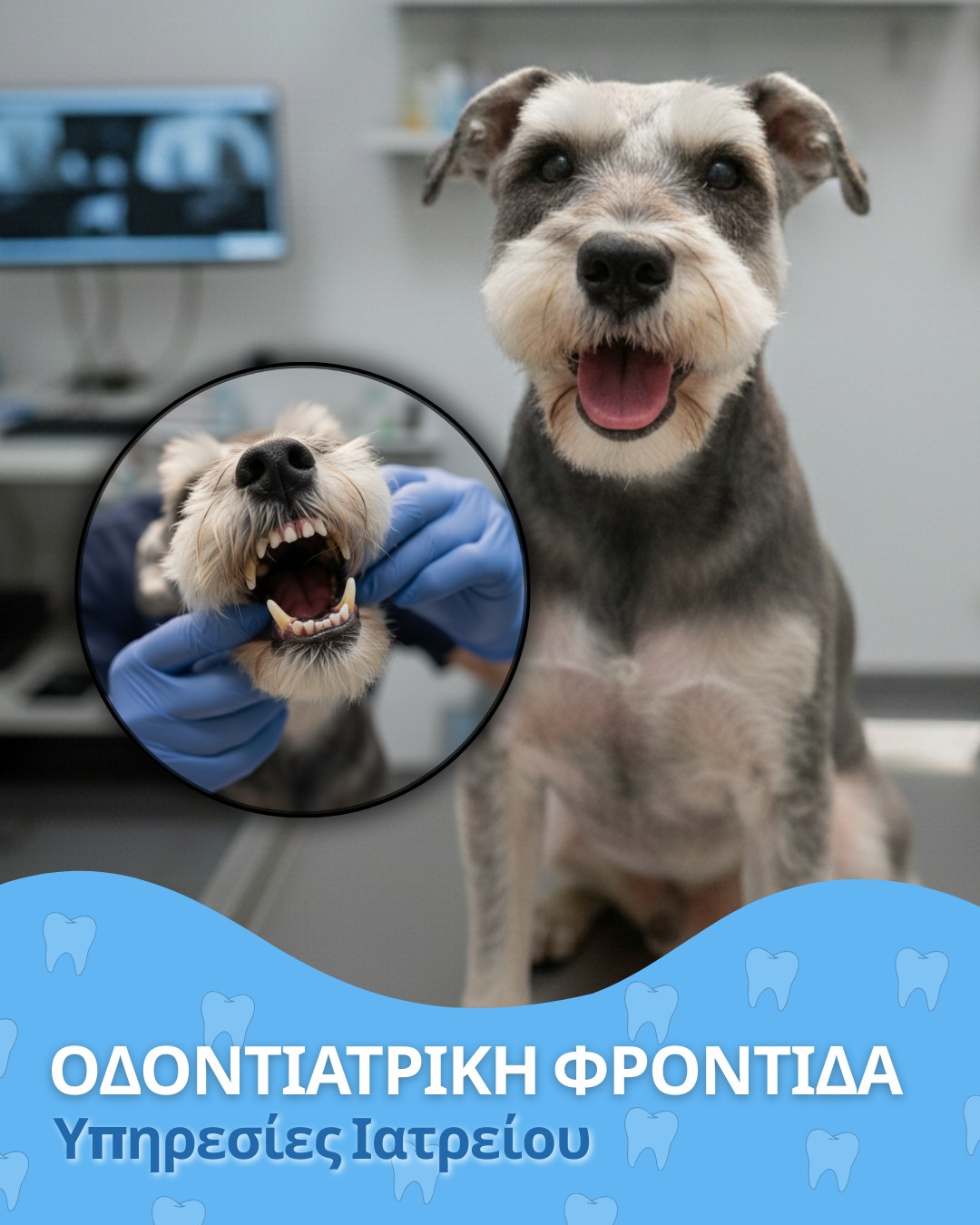 Οδοντιατρική Φροντίδα
