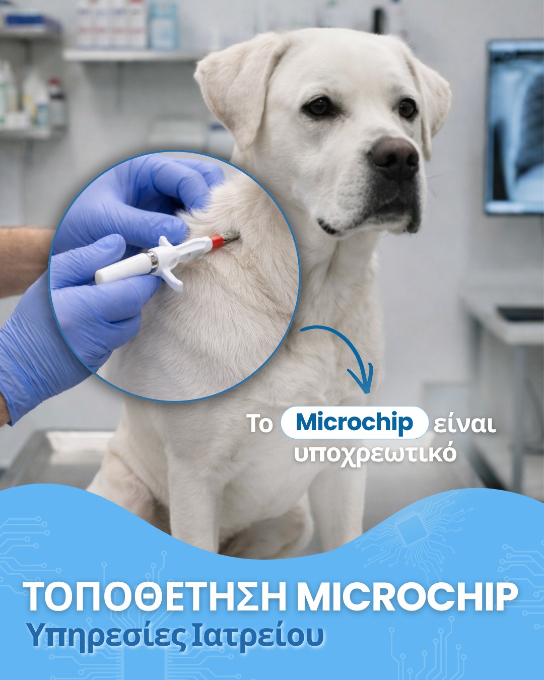 Τοποθέτηση Microchip