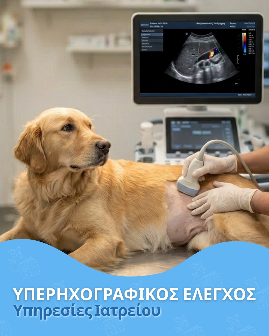 Υπερηχογραφικός Έλεγχος