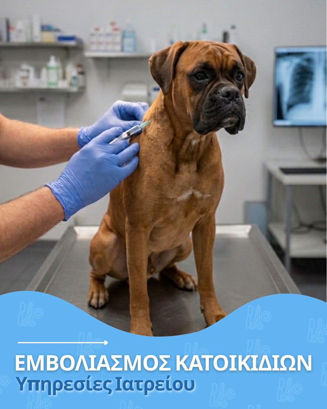 Εμβολιασμός Κατοικιδίων